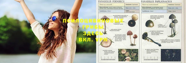 mix Аркадак