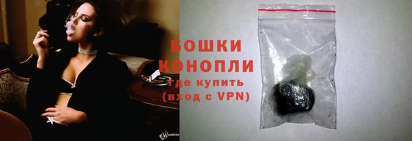 шишки Армянск