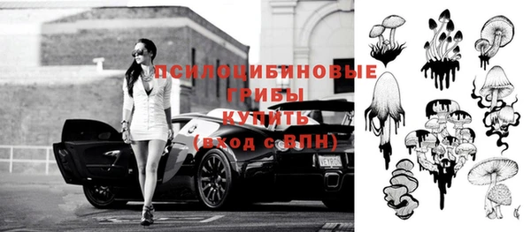 шишки Армянск