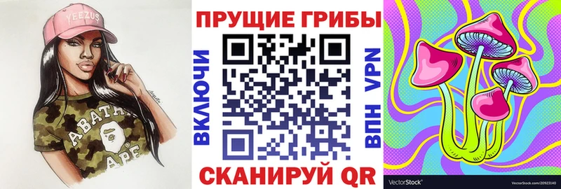 Псилоцибиновые грибы Psilocybe  сколько стоит  Луховицы 