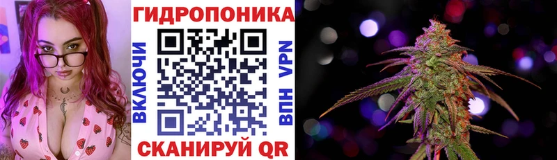 Шишки марихуана планчик  KRAKEN зеркало  Луховицы 